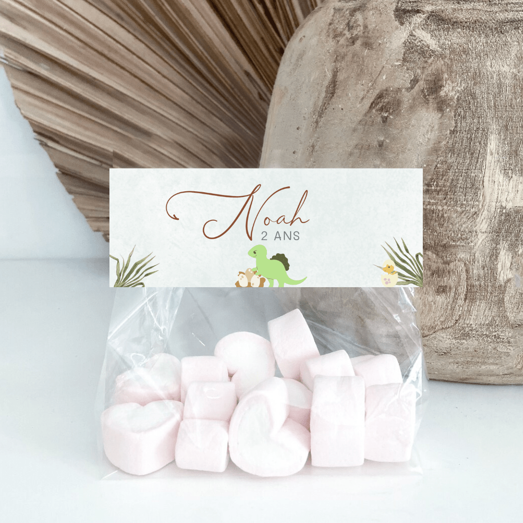 Sachets de bonbons personnalisés Dinosaure - L’Atelier Personnalisé